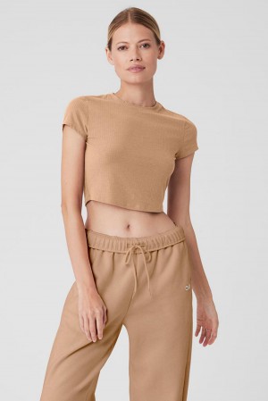 Camisetas Para Correr Alo Yoga Ribbed Sea Coast Cropped Sleeve Mujer Toasted Almond | Mexico YRI-069853