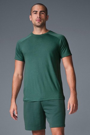 Camisetas Para Correr Alo Yoga Triumph Raglan Hombre Winter Ivy | Mexico TVU-384107