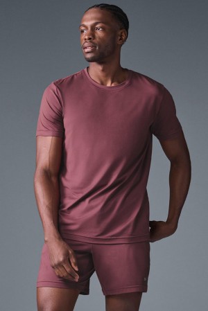 Short Sleeve Alo Yoga Conquer Reform Crewneck Hombre Vino | Mexico FBH-841972